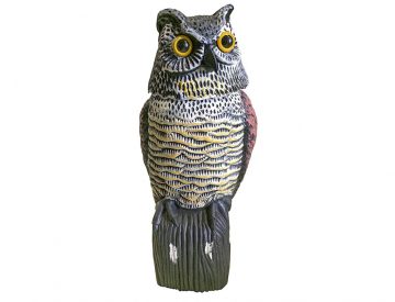 Taubenschreck Wackeleule