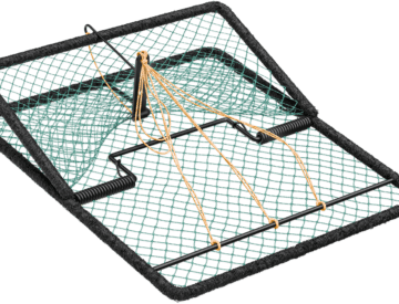 Bird trap