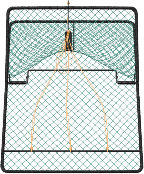 Bird Trap – Safe & Humane Bird Capture Solution (60x50 cm)